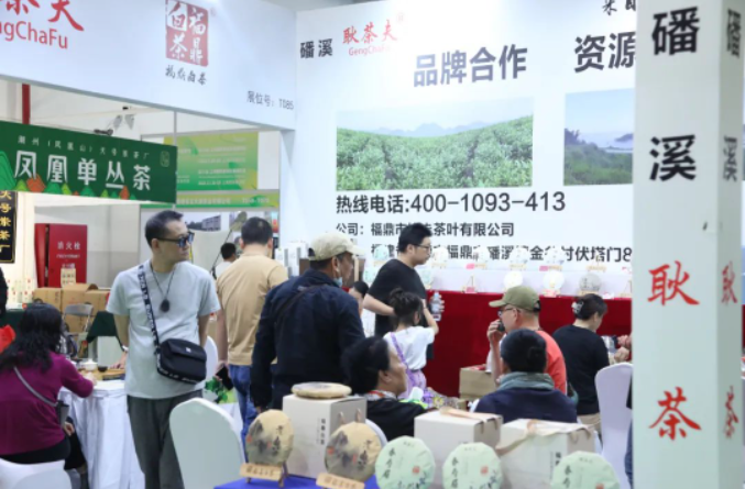 上海国际茶业交易博览会现场图片