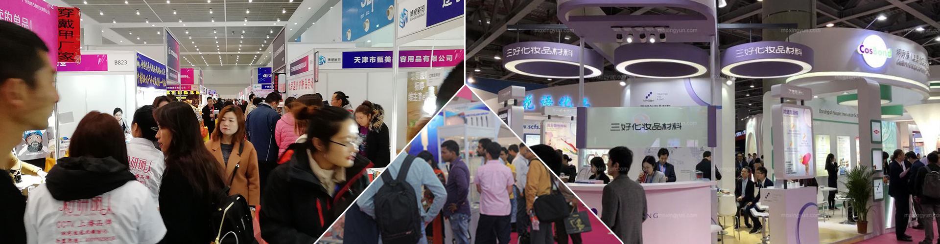 2024中国（上海）国际化妆品原料展览会