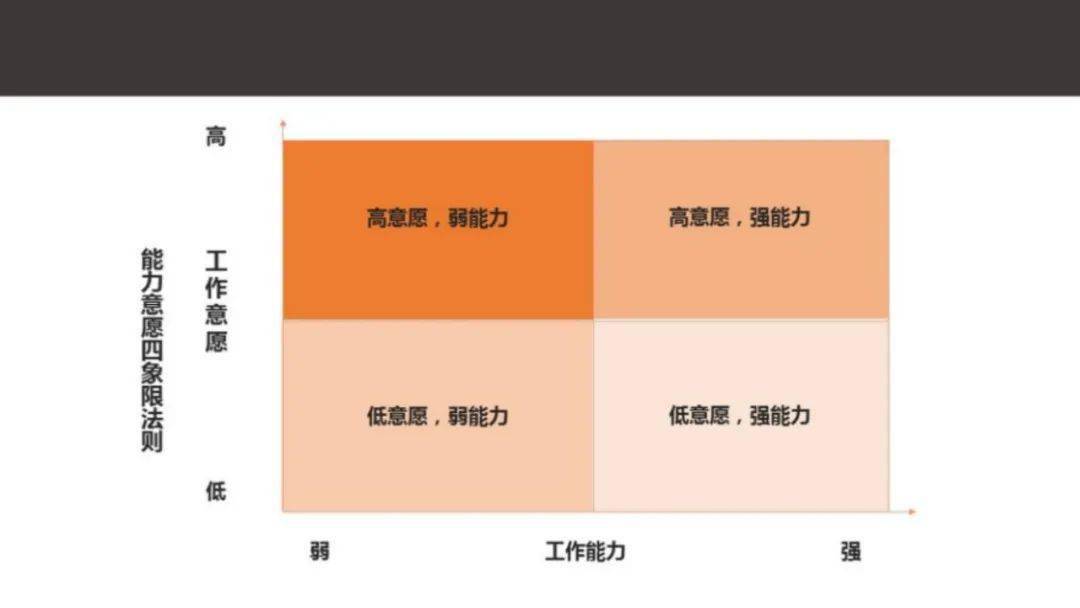 唐雪专栏丨如何强化企业的“中间力量”？