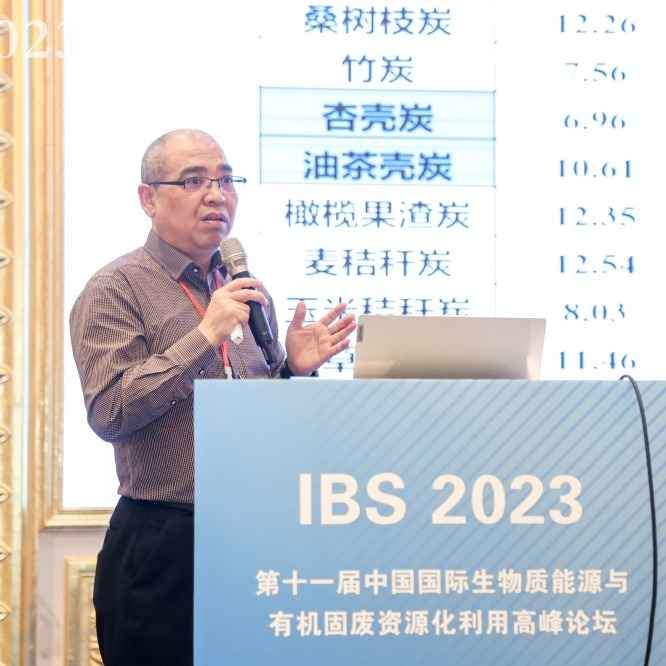 风起庐州，精英荟萃！IBS 2023第十一届生物质能源与有机固废资源化利用高峰论坛成功举办！